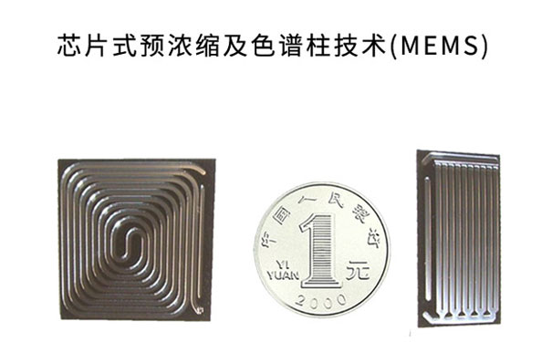 芯片式預(yù)濃縮及色譜柱技術(shù) 芯片式預(yù)濃縮及色譜柱技術(shù)